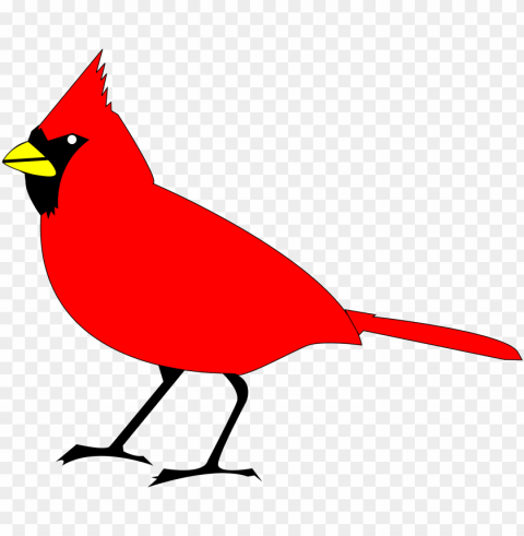 cardinal Transparent picture PNG