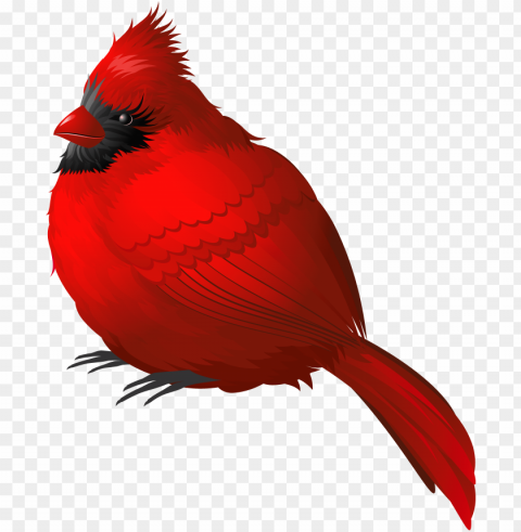 cardinal Isolated Artwork in Transparent PNG Format