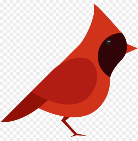 cardinal bird vector PNG transparent images for social media