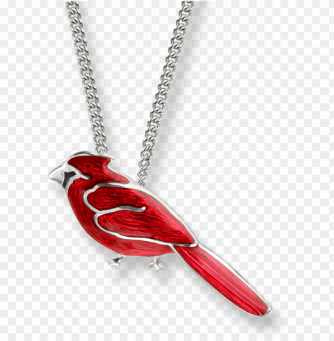 cardinal necklace Isolated Artwork on Transparent Background