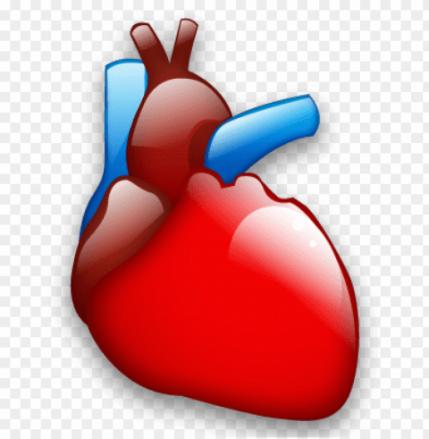 cardiology heart organ icon - cardiology icon Clear Background PNG Isolated Graphic Design
