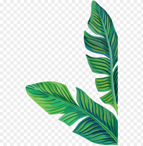 careers - myolab - clipart banana leaves Isolated Element on HighQuality PNG