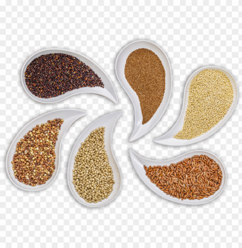 carefully selected and controlled ingredients - glute HighResolution PNG Isolated on Transparent Background