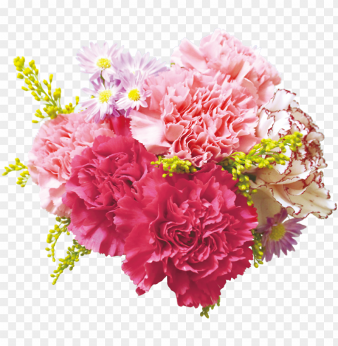 carnation flowers transparent background - carnation bouquet transparent background PNG Graphic Isolated with Transparency
