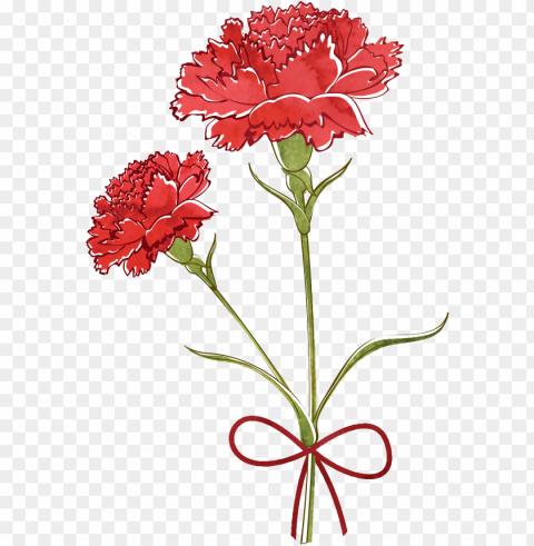 Carnation Watercolor PNG For Overlays