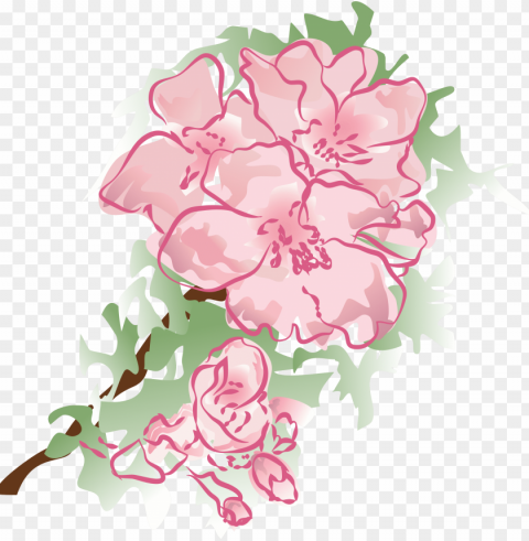 carnationmothers day - pink peonies PNG Graphic with Clear Isolation