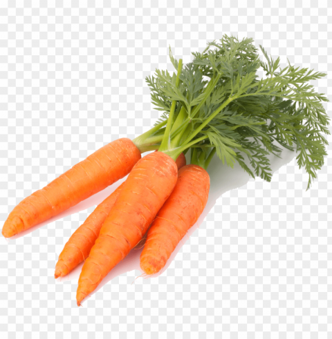 carrot image - carrots background Isolated Illustration in Transparent PNG