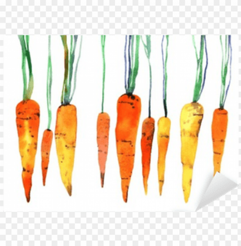 carrot watercolor PNG transparency images
