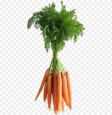 carrots clipart picture fruits and vegetables - transparent background carrots PNG design