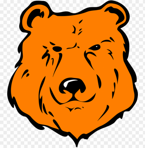 cartoon bear head - cartoon grizzly bear face Clear PNG images free download
