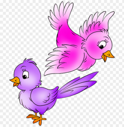 cartoon birds PNG Graphic Isolated with Clear Background
