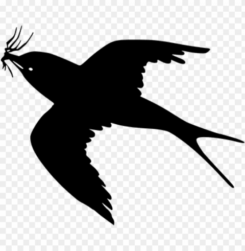 cartoon black bird flying Clean Background Isolated PNG Art