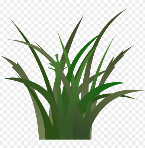 cartoon grass texture - grass clipart PNG for free purposes