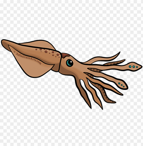 cartoon squid - cartoon picture of squid High-resolution PNG images with transparency