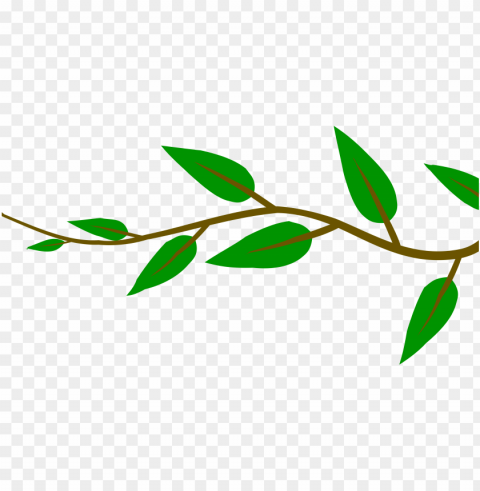 cartoon tree branch free download - tree branch background Isolated Character in Transparent PNG