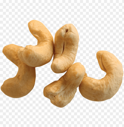 cashew nut - kajoo dry fruit tree Isolated Character in Transparent PNG