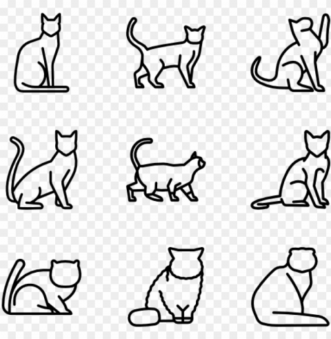 cat breed bodies - cat vector Isolated Icon in Transparent PNG Format