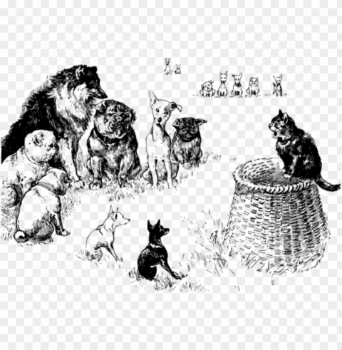 cat cartoon dog black and white computer icons - holding court Transparent PNG art