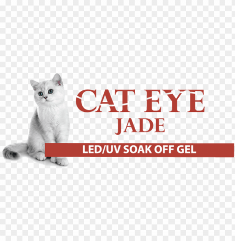cat eye nail polish cre8tion PNG with no background required