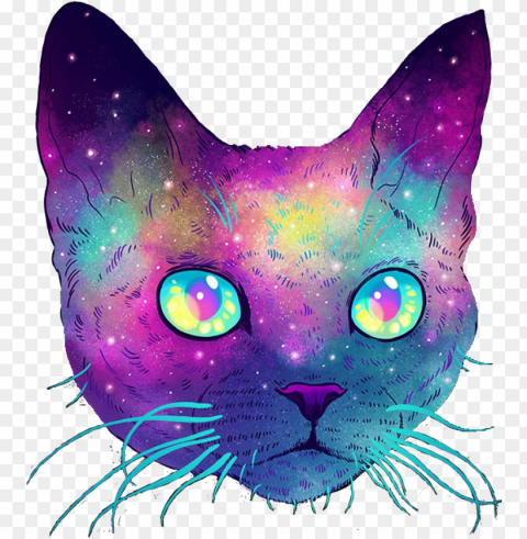 cat galaxy Isolated PNG Image with Transparent Background
