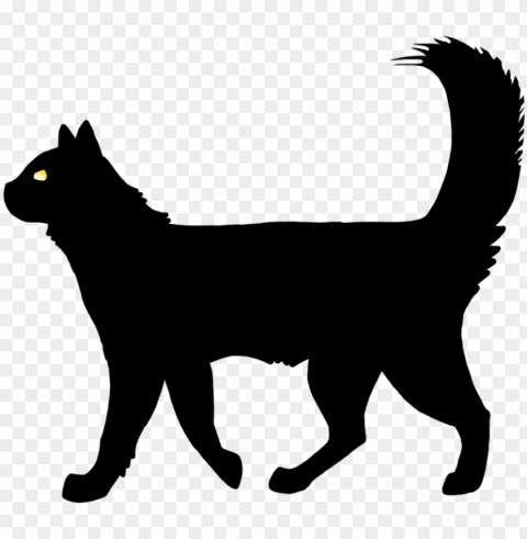 Cat Vector - Cat Walking Gif Vector Clean Background Isolated PNG Illustration