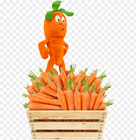 cathy carrot PNG transparent stock images