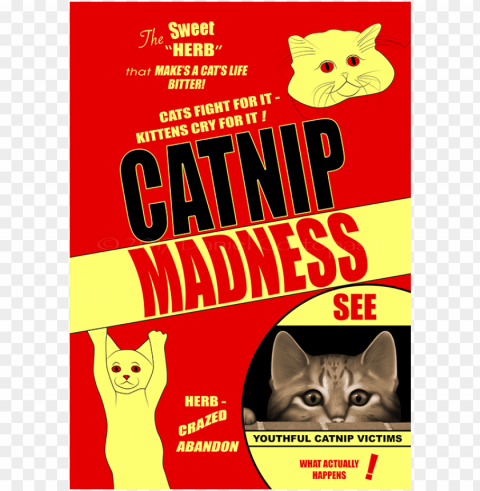 catnip madness - big boss PNG transparent photos assortment