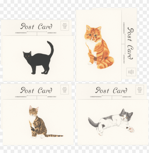 cats postcards-set of Transparent background PNG stock