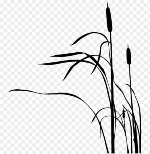 cattail silhouette at getdrawings - cat tail plants silhouette PNG with no cost