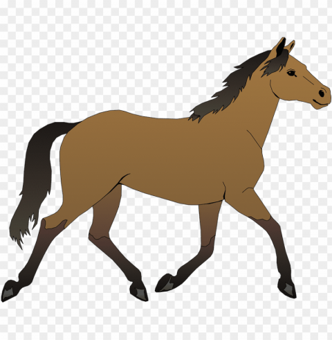 cavalo Transparent PNG download