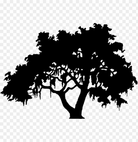 Cavin Harper Speaks At Live Oaks Center Pawleys Island - Live Oak Tree Silhouette HighQuality Transparent PNG Object Isolation