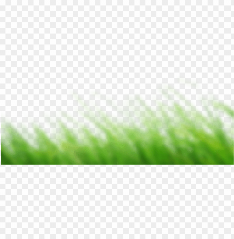 cb edits grass Isolated Subject with Transparent PNG