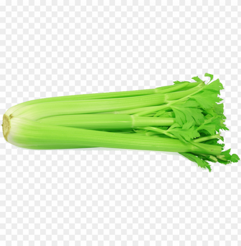 celery - celery with white background Transparent image