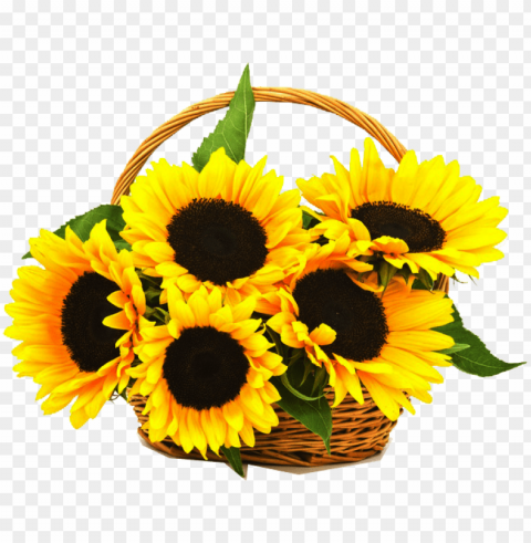 cell traditional basket online - sunflower basket Transparent PNG pictures archive