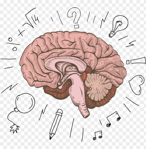 cerebrum human structure design - cartoon human brain PNG Image with Clear Isolated Object PNG transparent with Clear Background ID aec8bd77
