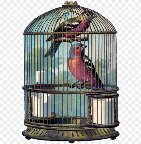 ch - b - vintage bird cage PNG graphics with clear alpha channel selection
