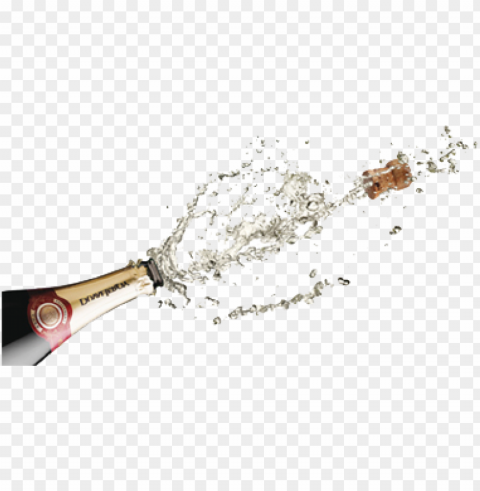 champagne food download Isolated Character on HighResolution PNG