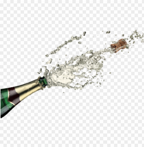 champagne food photo Isolated Artwork on Transparent Background PNG