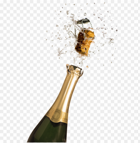 champagne food transparent images Isolated Artwork on Clear Background PNG