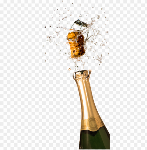 champagne food transparent Isolated Character with Clear Background PNG