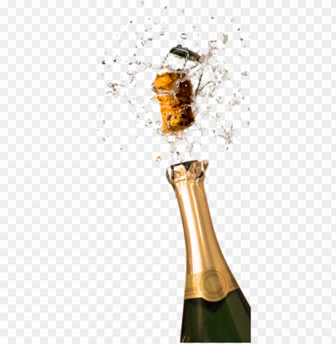 champagne food transparent Isolated Character with Clear Background PNG - Image ID 86ea3d88