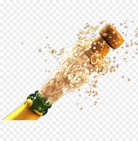 champagne food wihout Isolated Character with Transparent Background PNG