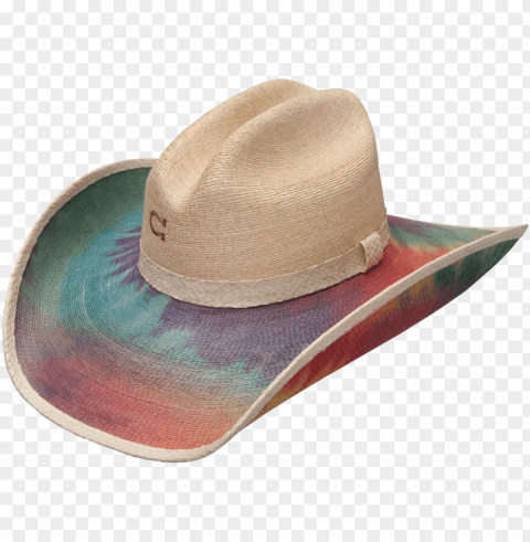 charlie 1 horse women's - cowboy hat PNG images with no background essential PNG transparent with Clear Background ID 1c18f9ec
