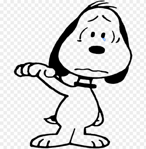 charlie brown peanuts peanuts snoopy snoopy pictures PNG Image Isolated with HighQuality Clarity