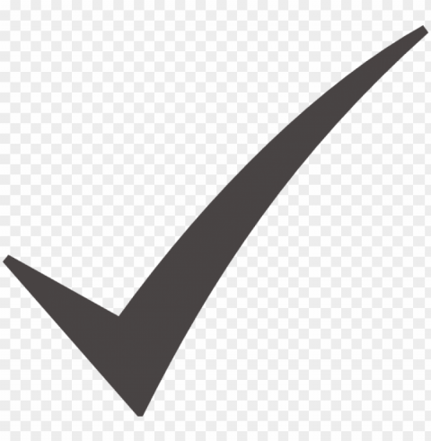check mark Isolated Object on Transparent PNG