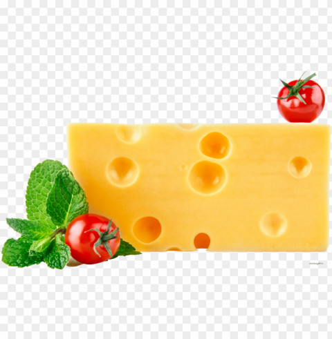 cheese food clear background Isolated Subject on HighQuality Transparent PNG