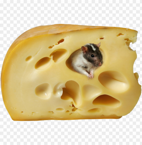 cheese food file Isolated Element on HighQuality PNG