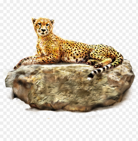 Cheetah Png Images Bulk - Encyclopedia Of Animals Book Alpha Channel PNGs