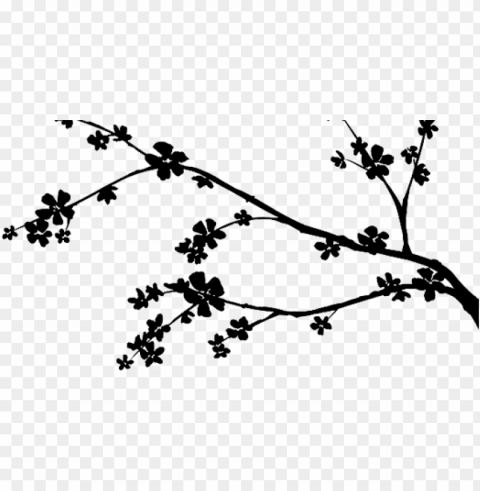 cherry blossom branch - perfect cherry blossom Alpha channel transparent PNG