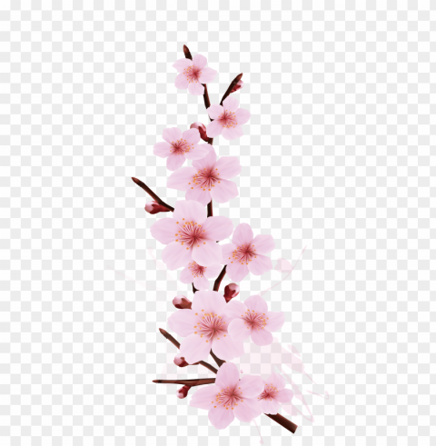 cherry blossom branch - cherry blossom branch desi Transparent background PNG clipart